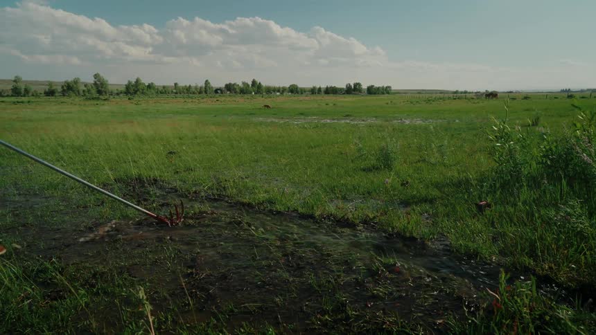 Man with a rake in a water flow area on a ranch
