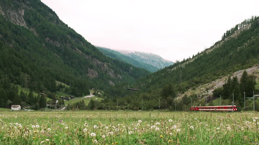 A red passenger train chugs through a picturesque valley passing a field of wildflowers near the mountains
