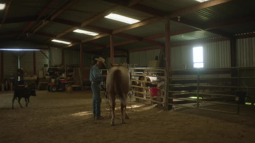 A clip of a person attending to a horse in the stable