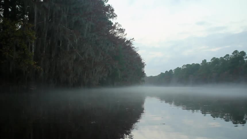 A boat is traveling along a foggy lake
