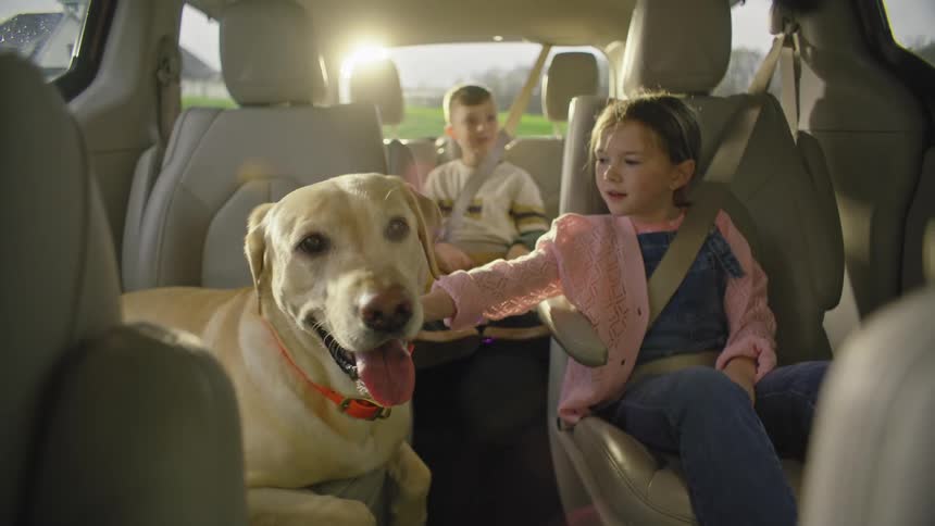 A girl is petting her dog in the car