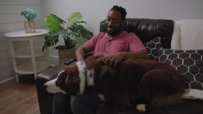 A bearded man wearing a pink shirt pets a dog lying on a couch