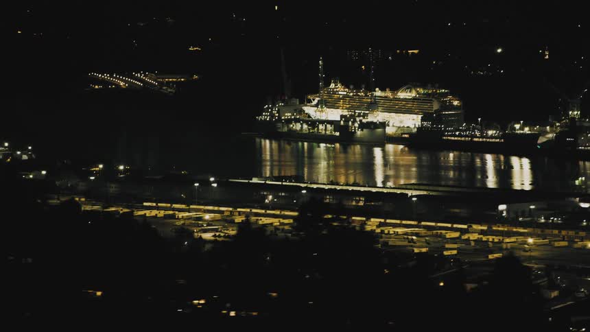 Cruise ship docked at sea in a city at night