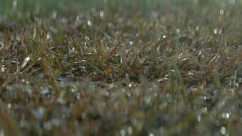 blood in the water stock footage collection by bennett johnson