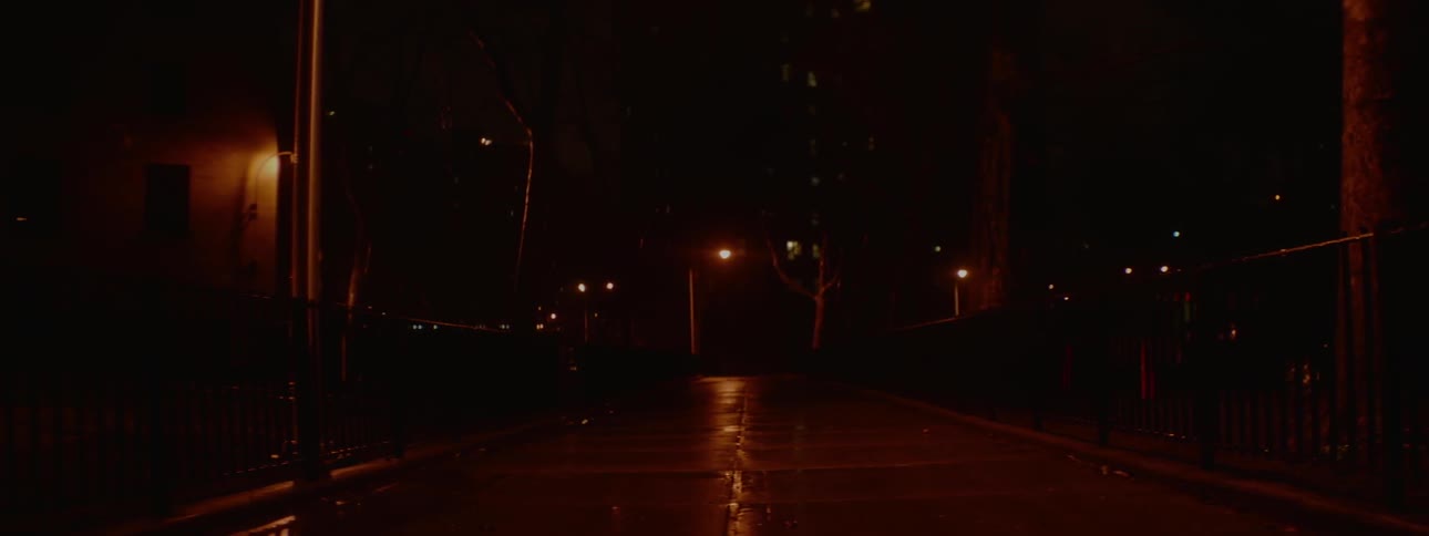 Lamp posts illuminate a road at night