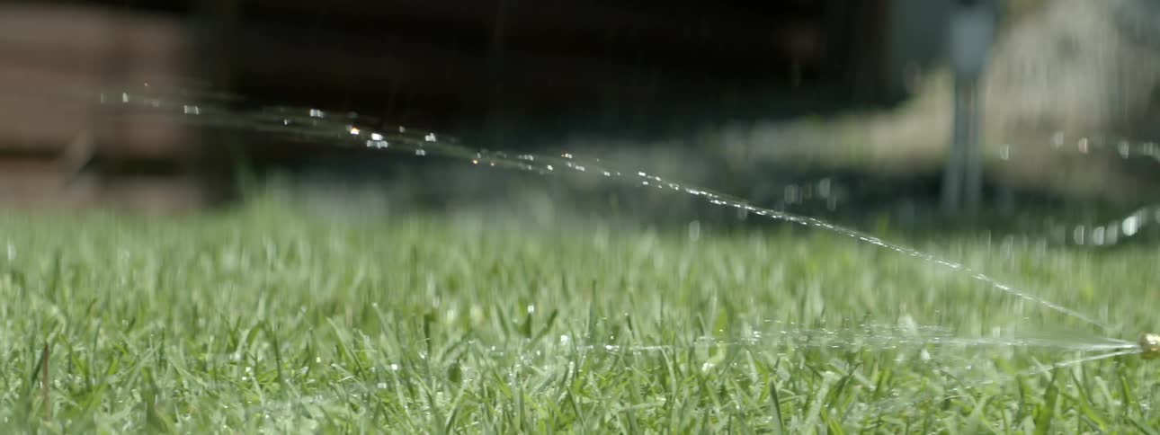 A sprinkler waters a lawn