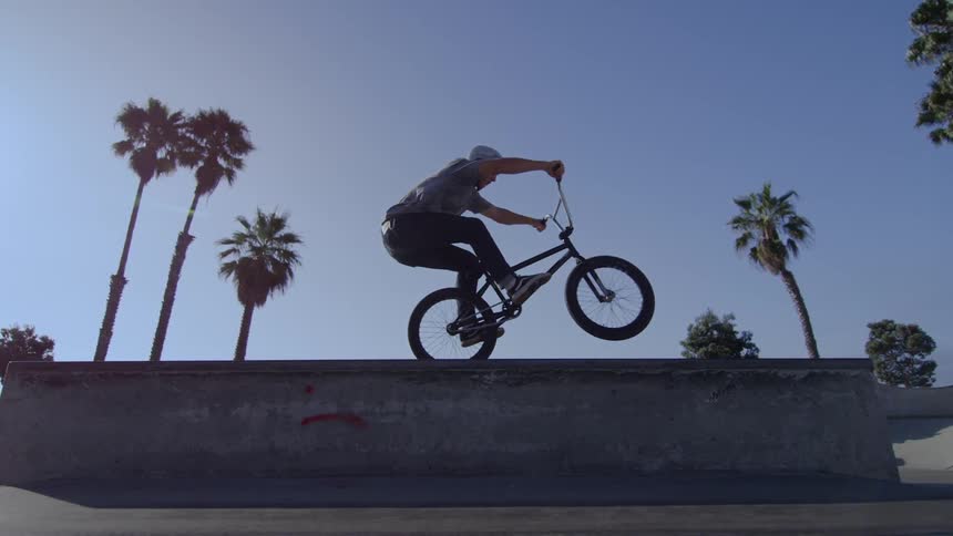Man doing a bike trick on a sunny day