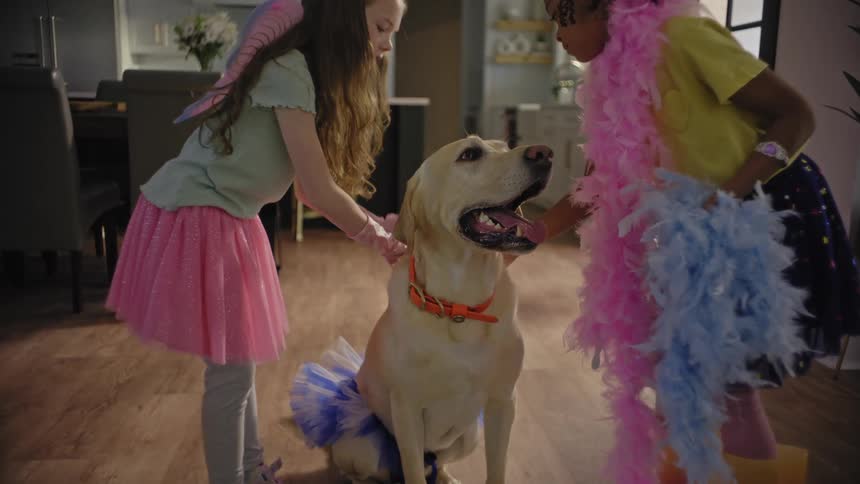 Two girls play pretend and dress up a dog as a princess