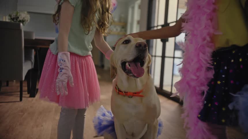Two girls in pink and lucas costumes are petting a beigehaired dog that is sitting in between them
