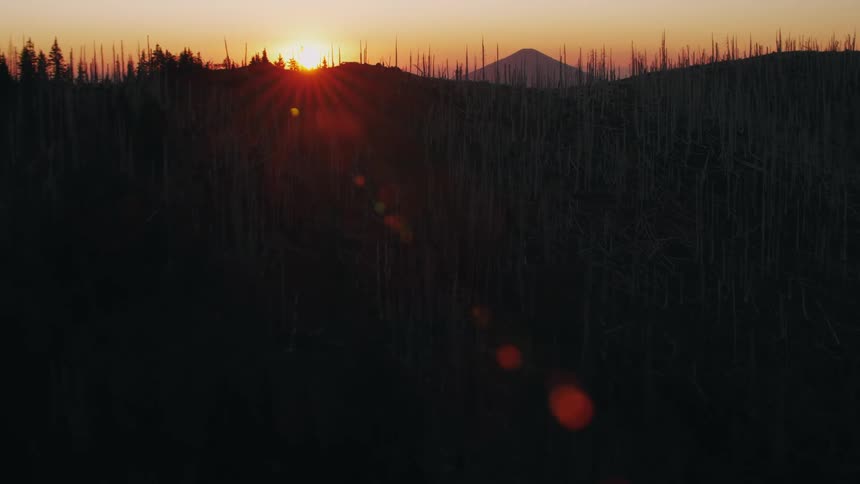 The sun is rising on the landscape