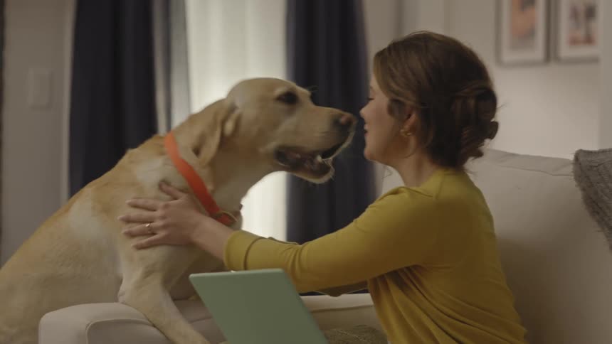 A dog is licking a woman on the couch