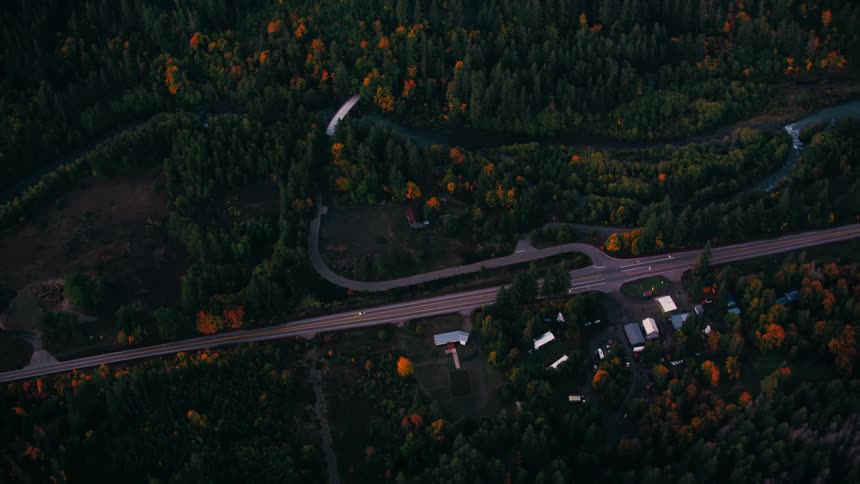 Cars travel on the highway through the woods