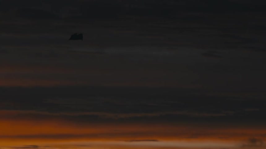 A silhouette of a bat flying against a vibrant orange and brown sunset sky