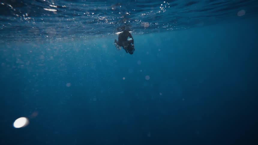 A diver is filming under the surface of the water