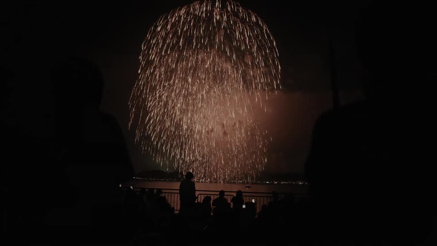Large fireworks explode and light up the night sky