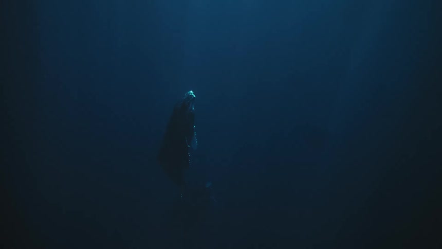 A humpback whale swims through the deep blue ocean