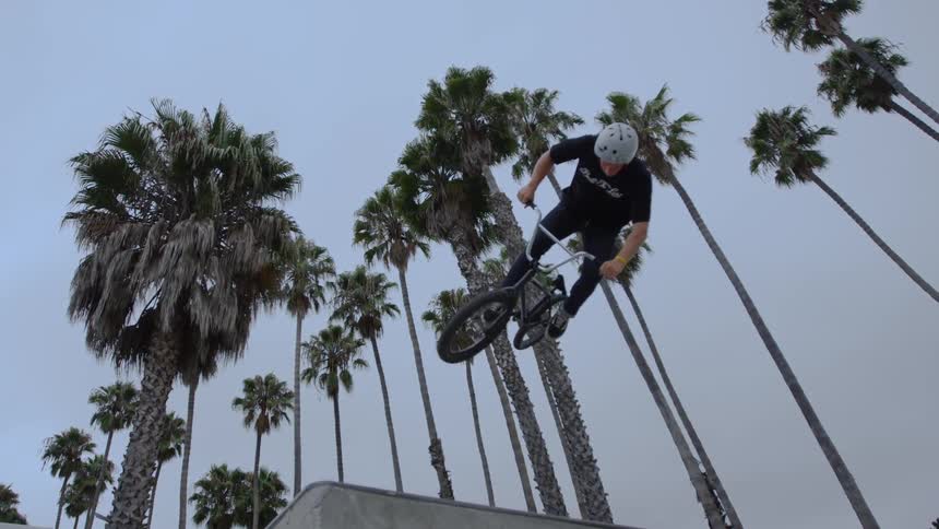Tall palm trees as a man does a bike trick
