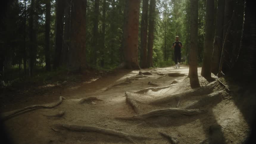 A man in dark clothing and a pair of white sneakers walks along a narrow sandy path between tall dark trees sunlight filtering through the thick canopy and illuminating patches of the path as he moves deeper into the forest