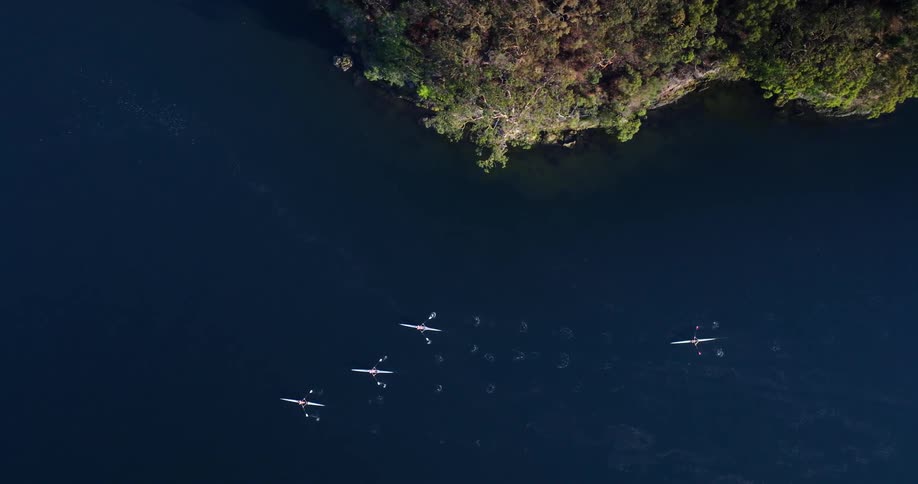 Birds eye view of people on row boats in the ocean