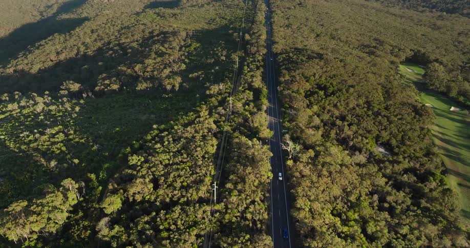 An aerial view reveals a road cutting through a dense forest with cars travel below and power lines run parallel elevated above the trees