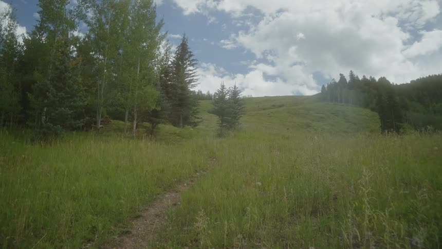 A dirt path winding through a lush green meadow with a backdrop of tall trees and a blue sky dotted with clouds