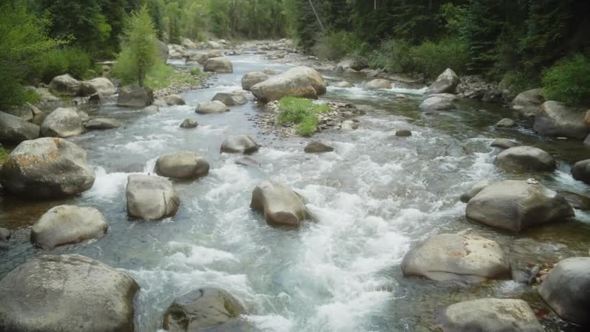 The river rushed over smooth rounded stones its water a frothy white