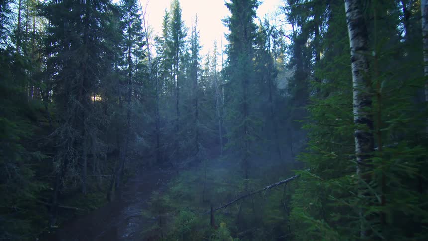 Moving over a forested mountain valley stream as the sun shines on the horizon