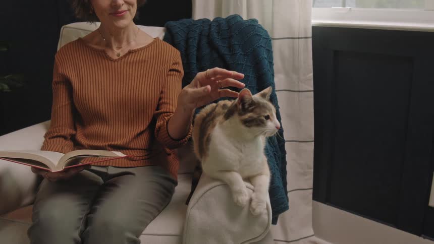 Woman sitting with a book and petting the cat next to her