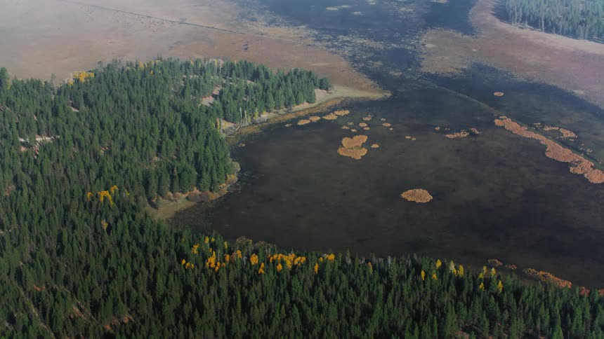 A small lake surrounded by a dense forest with patches of yellow foliage