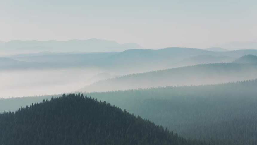 A hazy landscape with rolling hills covered in dense forests shrouded in a thick layer of mist