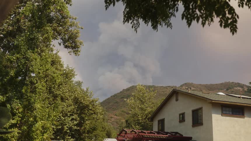 A plume of grey smoke rises from a hillside in the distance visible through the leaves of a tree