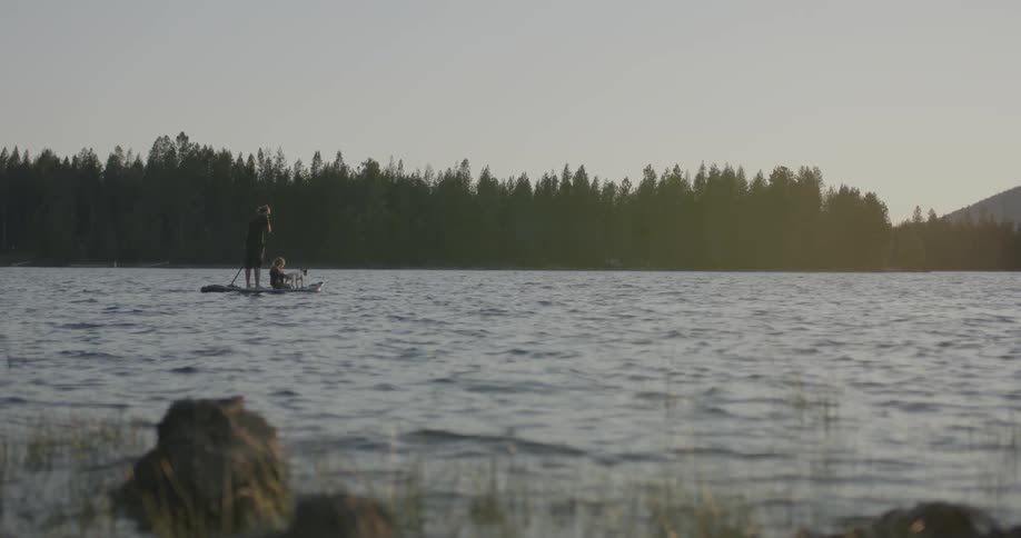 A man, a young boy, and a dog are paddling out on a lake