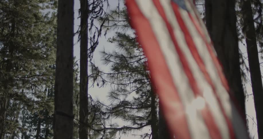 A flag hanging in front of trees