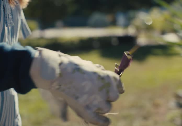 Hand with gloves holding a flower seedling pulling out leaves
