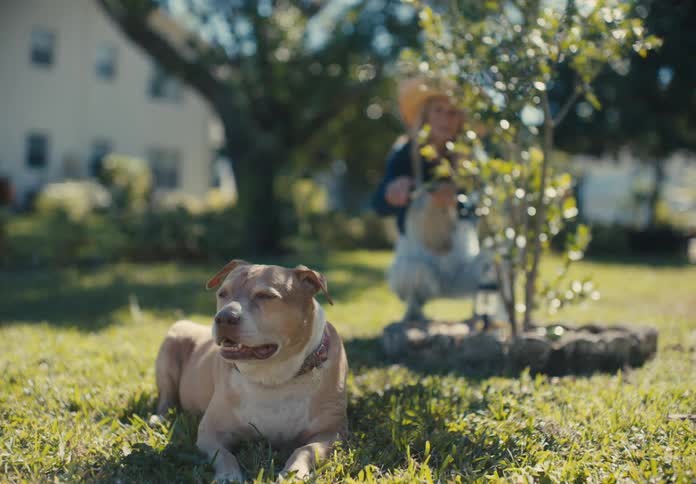 Woman gardening in a plant and a dog lying in front of her on the grass