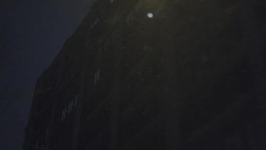 Snow falls in front of a tall building