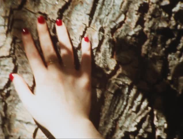 A woman is touching the bark of the tree