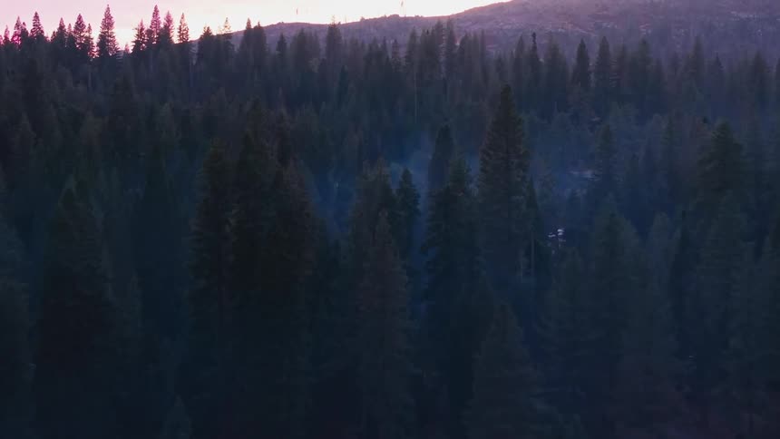 The forest casts long shadows as the sun dips below the horizon