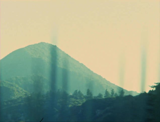 Landscape of a forest in mountains