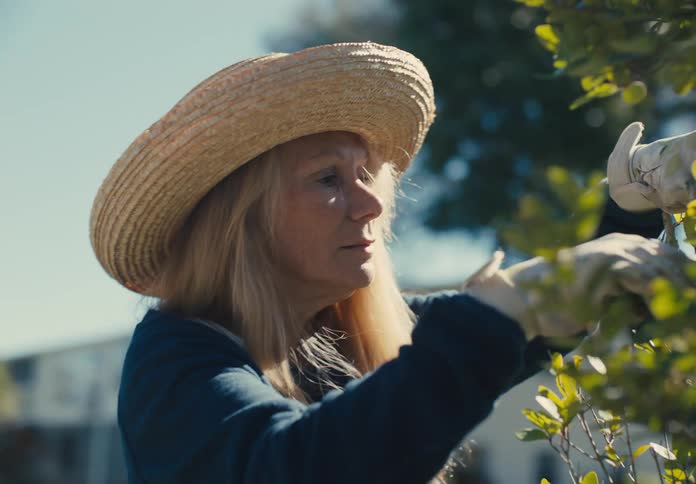 A clip of a gardener harvesting fruits
