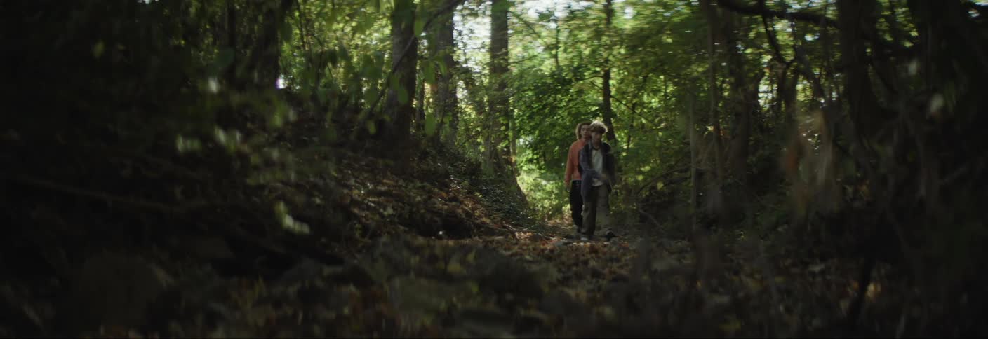 Two children are walking together on a leafcovered path through a dense sunlit forest