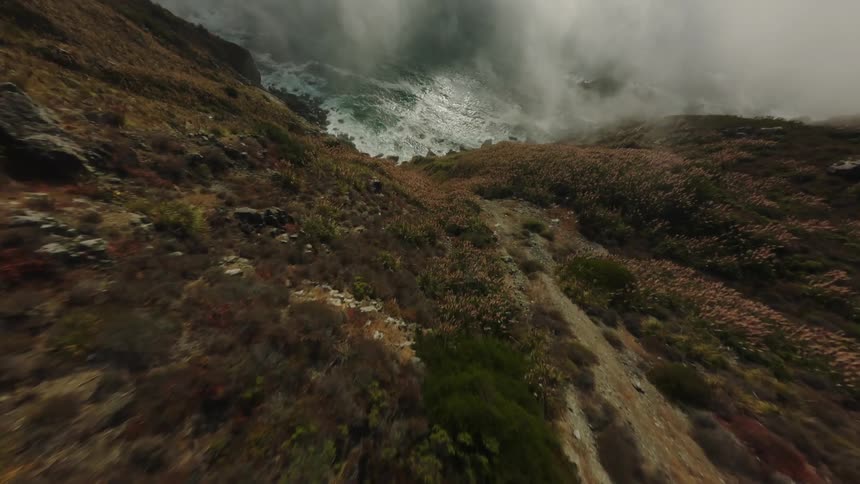 A winding road curves along a cliffside with tall grasses and shrubs growing on the edge thick fog hangs over the ocean below obscuring the view of the water