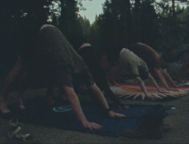 Group of people in nature doing body stretching
