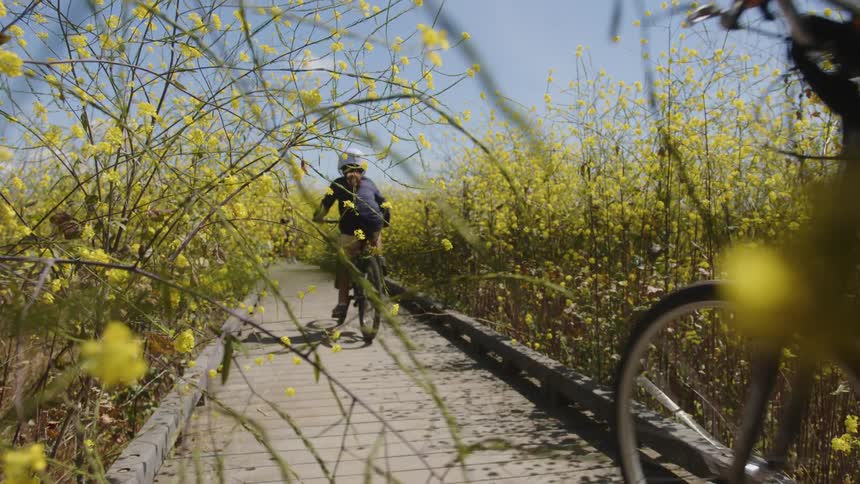 Two people riding thier bike across wooden path surrounded by wildflowers