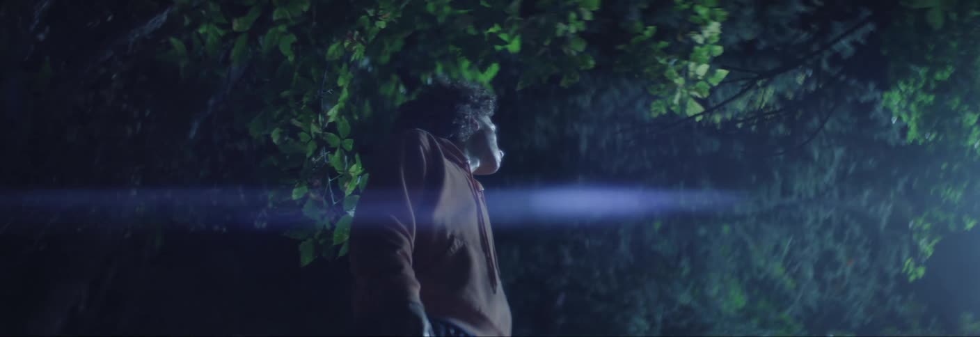 Person standing still in a treelined environment at night and a light illuminating
