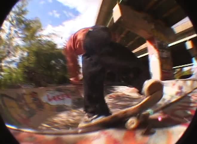 A fisheye lens captures a skateboarder performing a trick under a bridge with sunlight and trees in the background