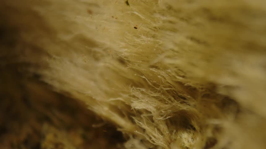 Close up of a caramel colored abstract texture