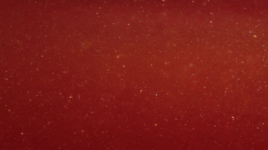 Pale particles float through a rust colored mixture