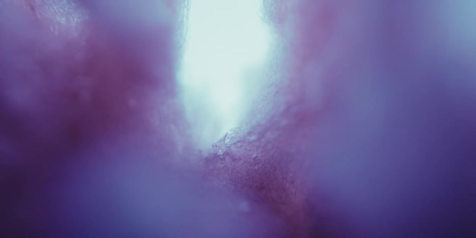 An abstract clip of foamy colors