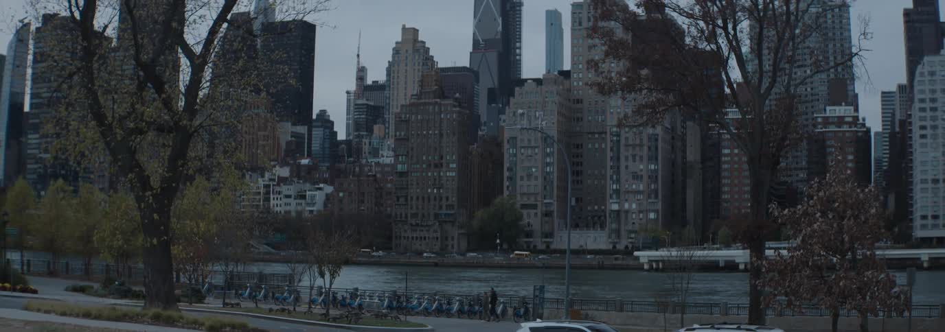A view of a city skyline with tall buildings framed by bare trees overlooking a river with a park and a bike path along its edge